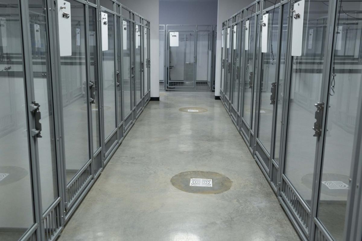 A climate-controlled boarding suite at Paw Retreat Salado